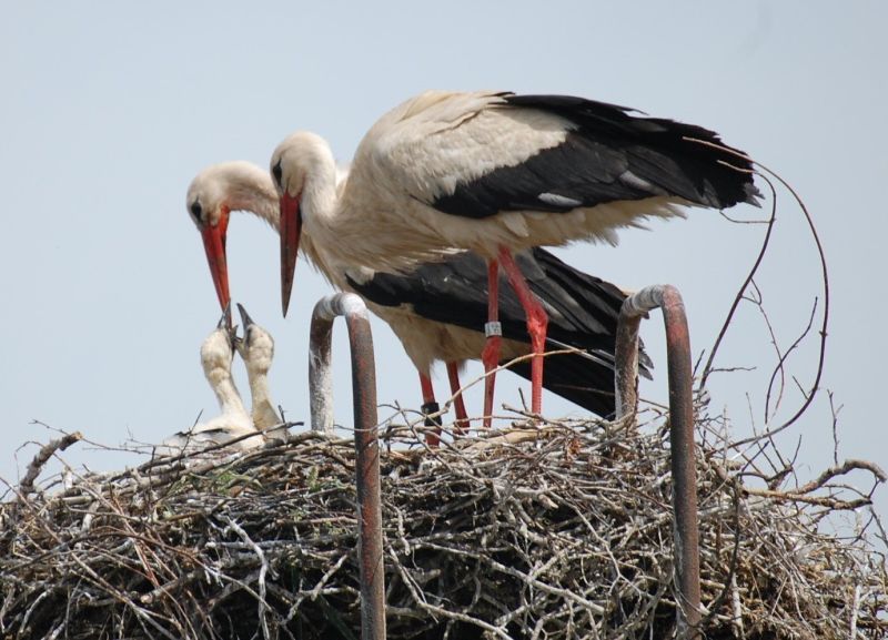 Chemnitz Ferienwohnung Naturblick<br>Karla Rößler: Ansicht 2